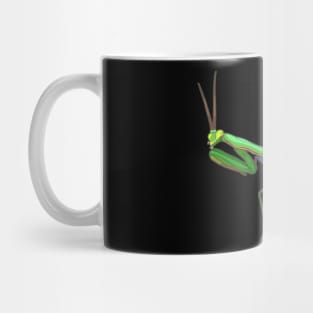 Praying Mantis Mug